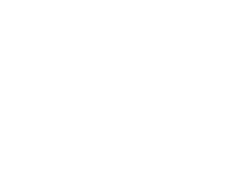 Wild Atlantic Tails